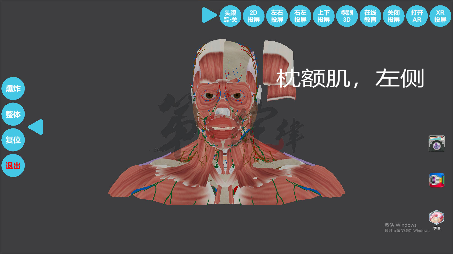 VR赋能人体解剖实训，开启沉浸式医学教学